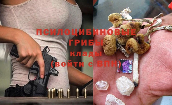 спиды Абинск