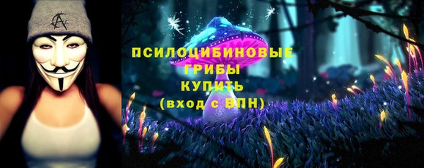 не бодяженный Абаза