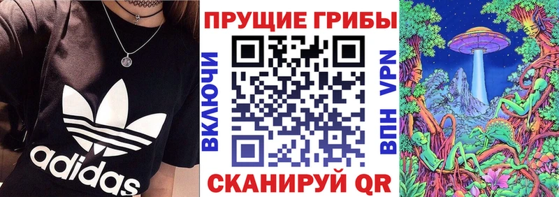 где купить наркотик  Сорск  Галлюциногенные грибы мухоморы 